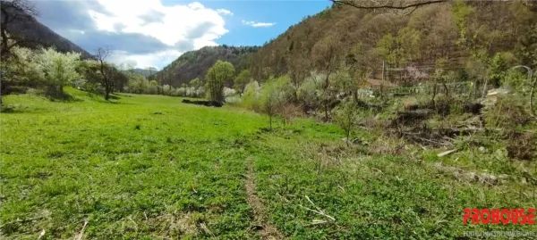 Teren Bacău - poza 2