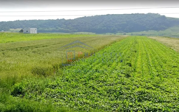 Teren Suceava - poza 1