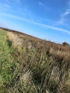RECO Teren Intravilan Apateu - foto 2