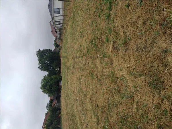 Casă 4 camere Sântandrei - poza 8