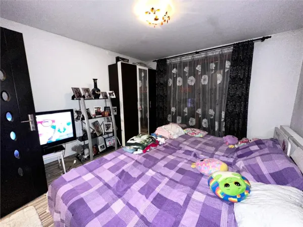 Casă 2 camere Paleu - poza 4