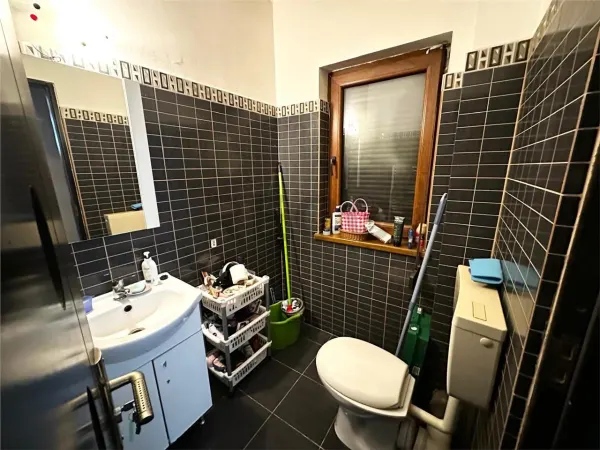 Casă 2 camere Paleu - poza 7