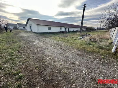 Platforma industriala 27.000mp - Racova - Buhusi - foto 4
