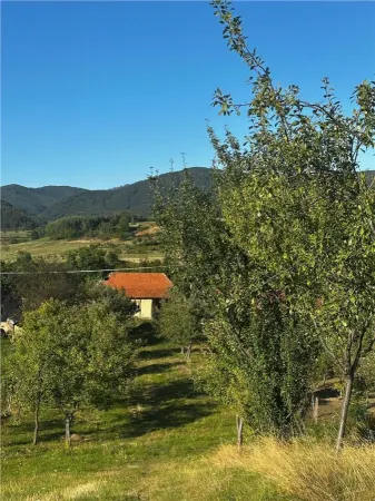Casă 2 camere Budureasa - poza 4