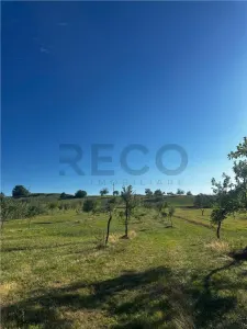 Reco Casa cu teren in Budureasa, langa Stana de Vale - foto 5