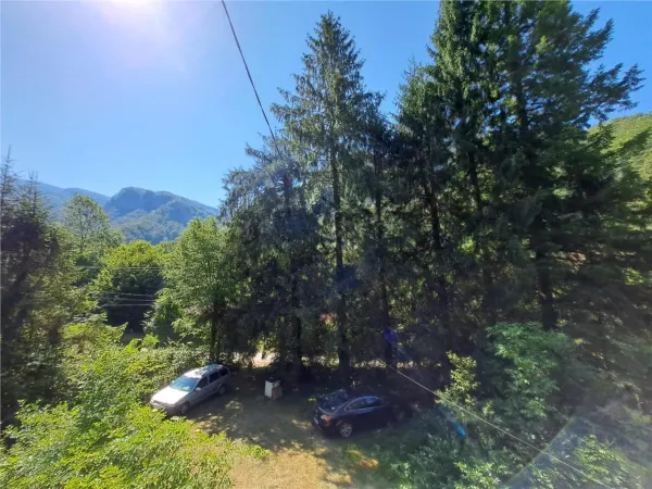 Casă 7 camere Pietroasa - poza 2