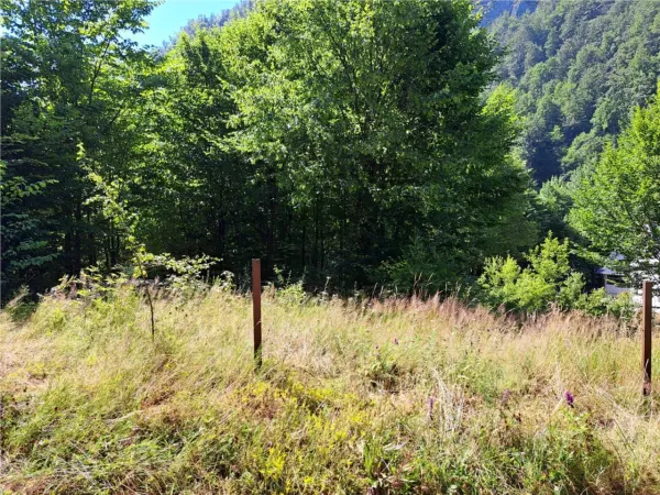 Casă 7 camere Pietroasa - poza 8