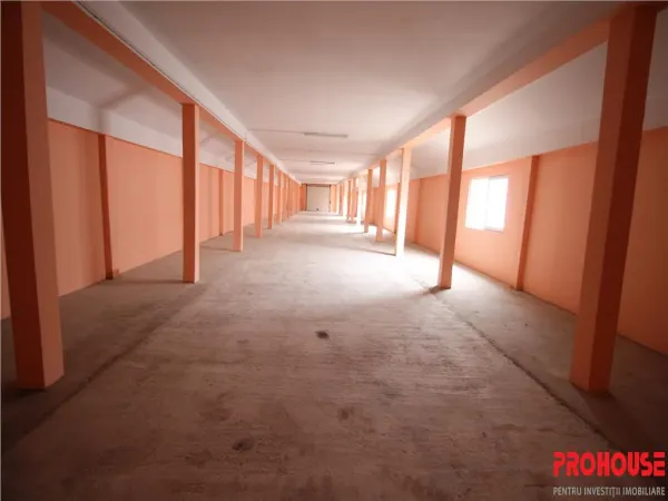 Spațiu industrial Bacău - poza 9