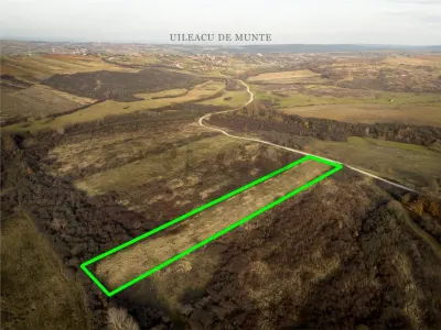 RECO . Teren extravilan . Uileacul de munte - foto 2