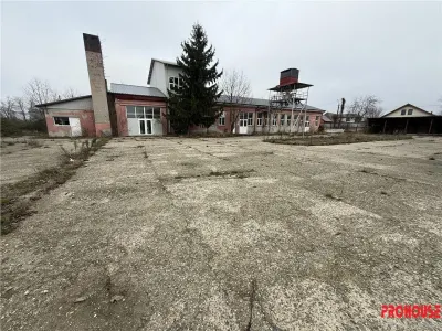 Hale industriale de inchiriat cu platforma betonata de 10.424mp - Șerbanesti - Bacau