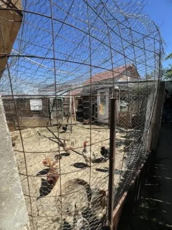 Casă 4 camere Cheriu - poza 21