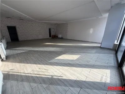Orizont - spatiu comercial stradal 87mp - foto 9