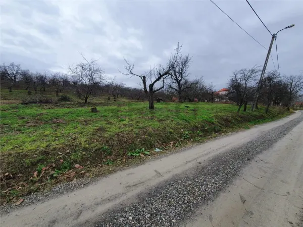 Teren Oradea - poza 6