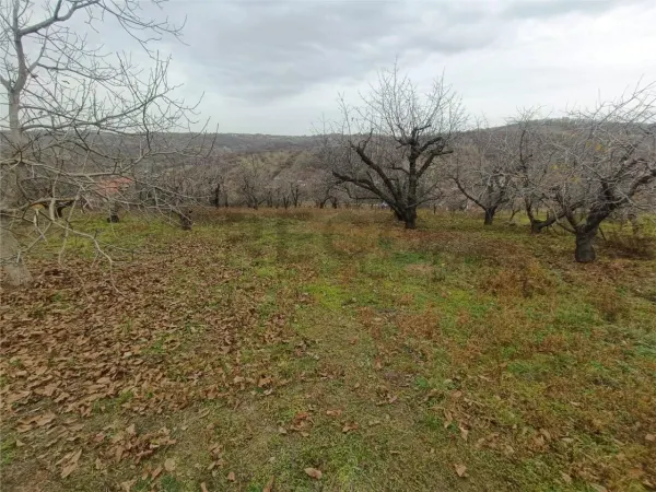 Teren Oradea - poza 8