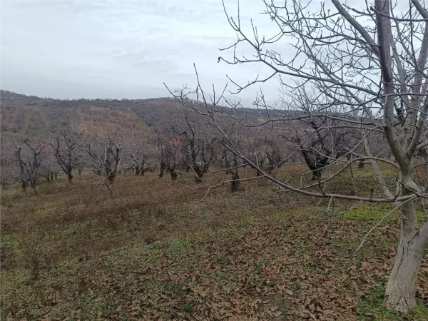 Teren Oradea - poza 10