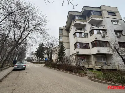 Locație ideală pentru afacerea ta - spațiu 40 mp - Aleea Parcului - Bacau