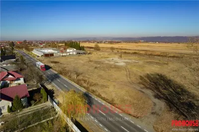 Teren 12.586mp - DN15 - Bacau - Buhusi - deschidere 162ml - posibilitate lotizare - foto 2