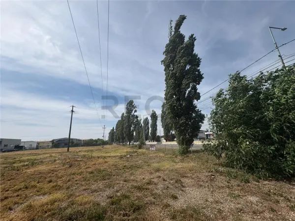 Teren Bors - poza 3