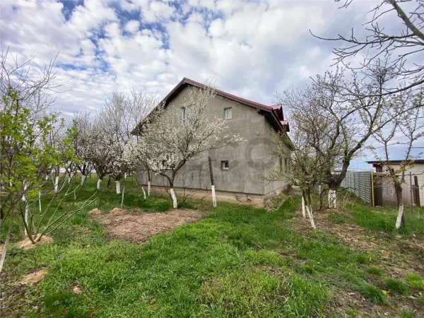 Casă 4 camere Alparea - poza 7