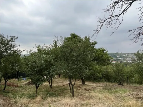 Casă 6 camere Oradea - poza 20