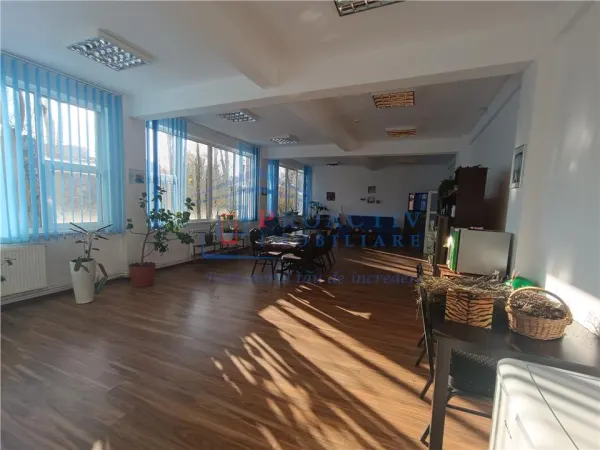Spațiu comercial Șcheia - poza 4