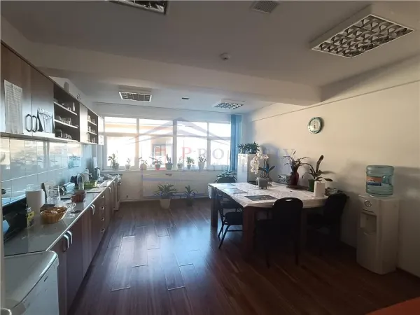 Spațiu comercial Șcheia - poza 10