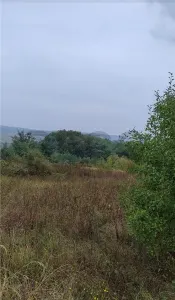 RECO Teren intravilan Lazareni - foto 2