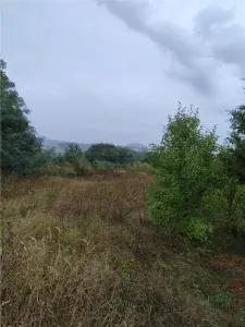 RECO Teren intravilan Lazareni - foto 3
