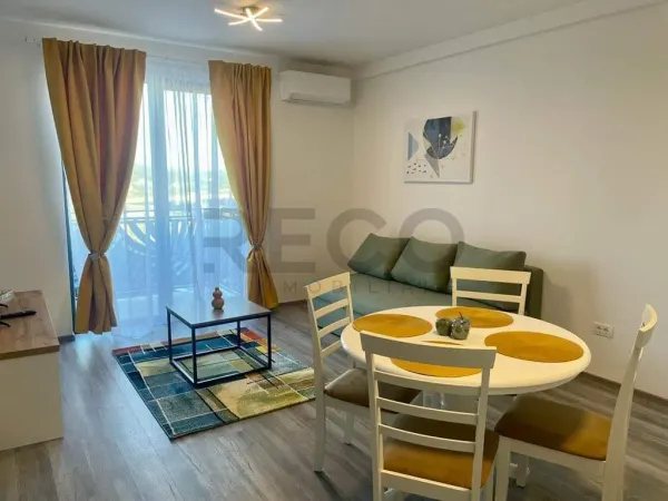 Apartament 1 camera Băile Felix - poza 2
