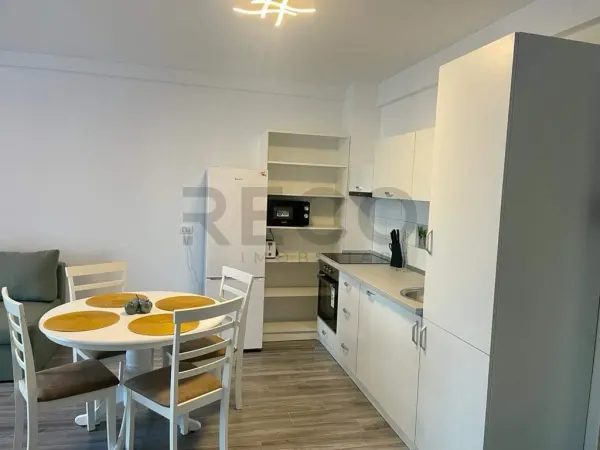Apartament 1 camera Băile Felix - poza 3
