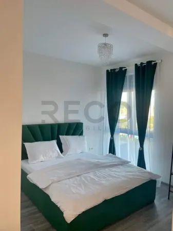 Apartament 1 camera Băile Felix - poza 4