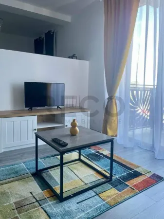 Apartament 1 camera Băile Felix - poza 8