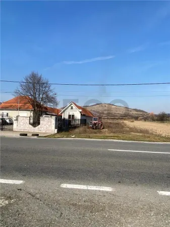 Teren Uileacu de Cris - poza 2