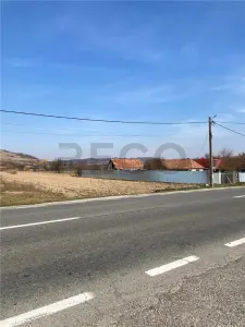 RECO  Teren intravilan in  Uileacul  de Cris 3544mp - foto 4
