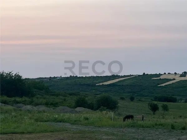 Teren Paleu - poza 6