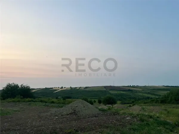 Teren Paleu - poza 10