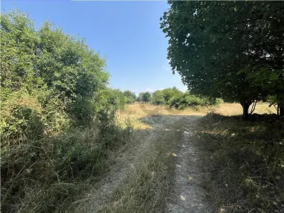 RECO Teren intravilan Tileagd 2337 mp - foto 5