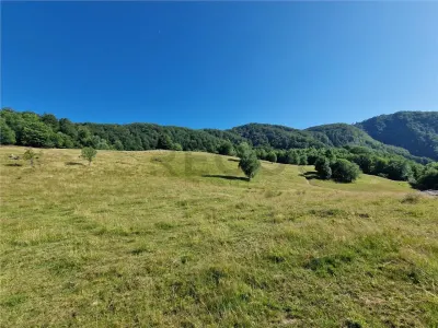 RECO teren extravilan Remeti - foto 4