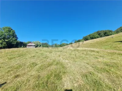 RECO teren extravilan Remeti - foto 5