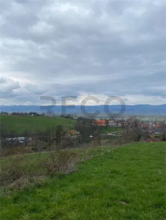 Teren Dobricionesti - poza 1
