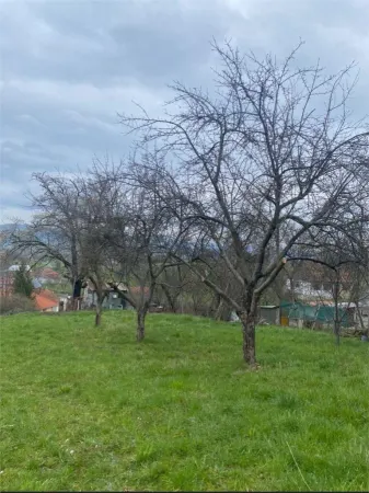 Teren Dobricionesti - poza 3