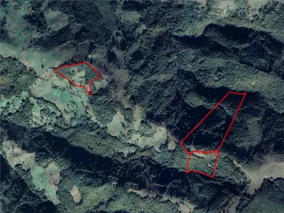 RECO Teren intravilan si teren forestier, sat Munteni - foto 2