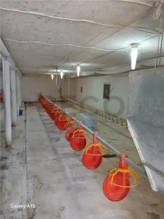 Spațiu industrial Toboliu - poza 3