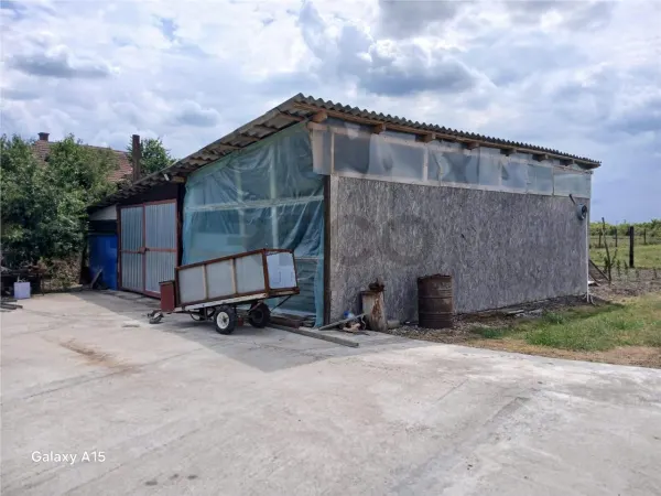 Spațiu industrial Toboliu - poza 6