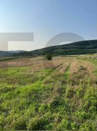 Teren Fughiu - poza 3