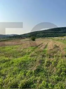 Reco Teren intravilan zona Mini Paradis - foto 3