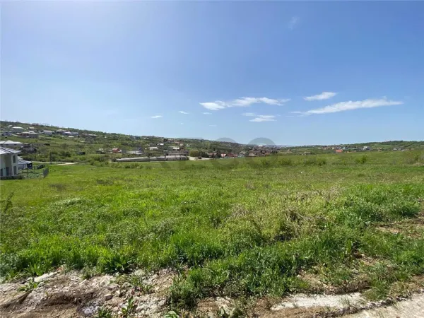 Teren Saldabagiu de Munte - poza 1