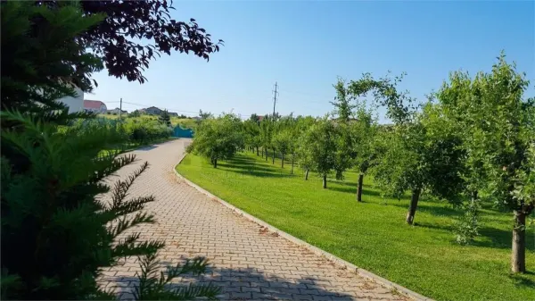 Casă 5 camere Sânmartin - poza 10