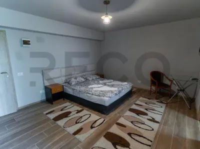 RECO PENSIUNE DE VANZARE IN JUDETUL CARAS SEVERIN - foto 19