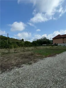 RECO, Teren intravilan, Piersicilor - foto 4